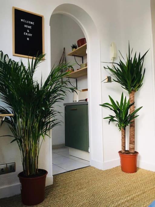 Appartement Mignon, Plein Centre Biarritz Eksteriør bilde
